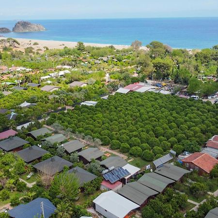 Cirali Zakkum Bungalow Dış mekan fotoğraf