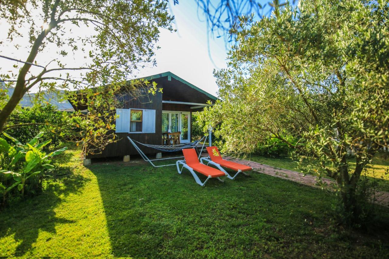 Cirali Zakkum Bungalow Dış mekan fotoğraf