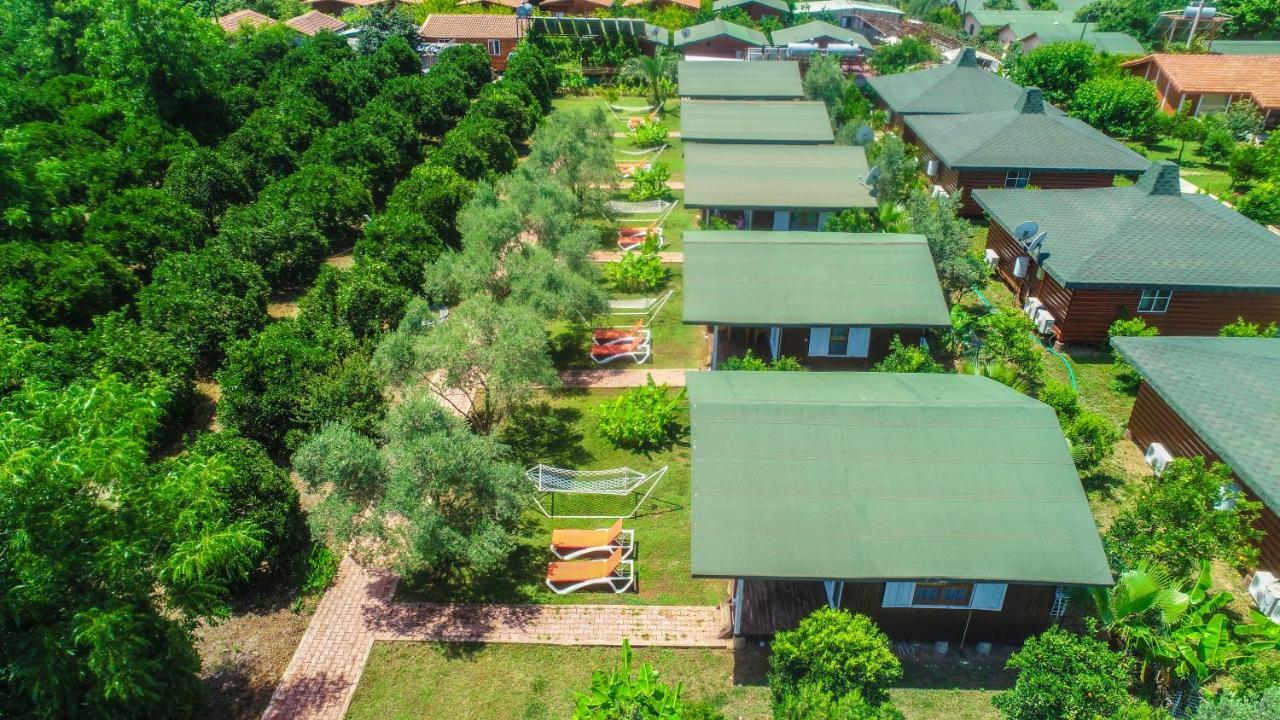 Cirali Zakkum Bungalow Dış mekan fotoğraf