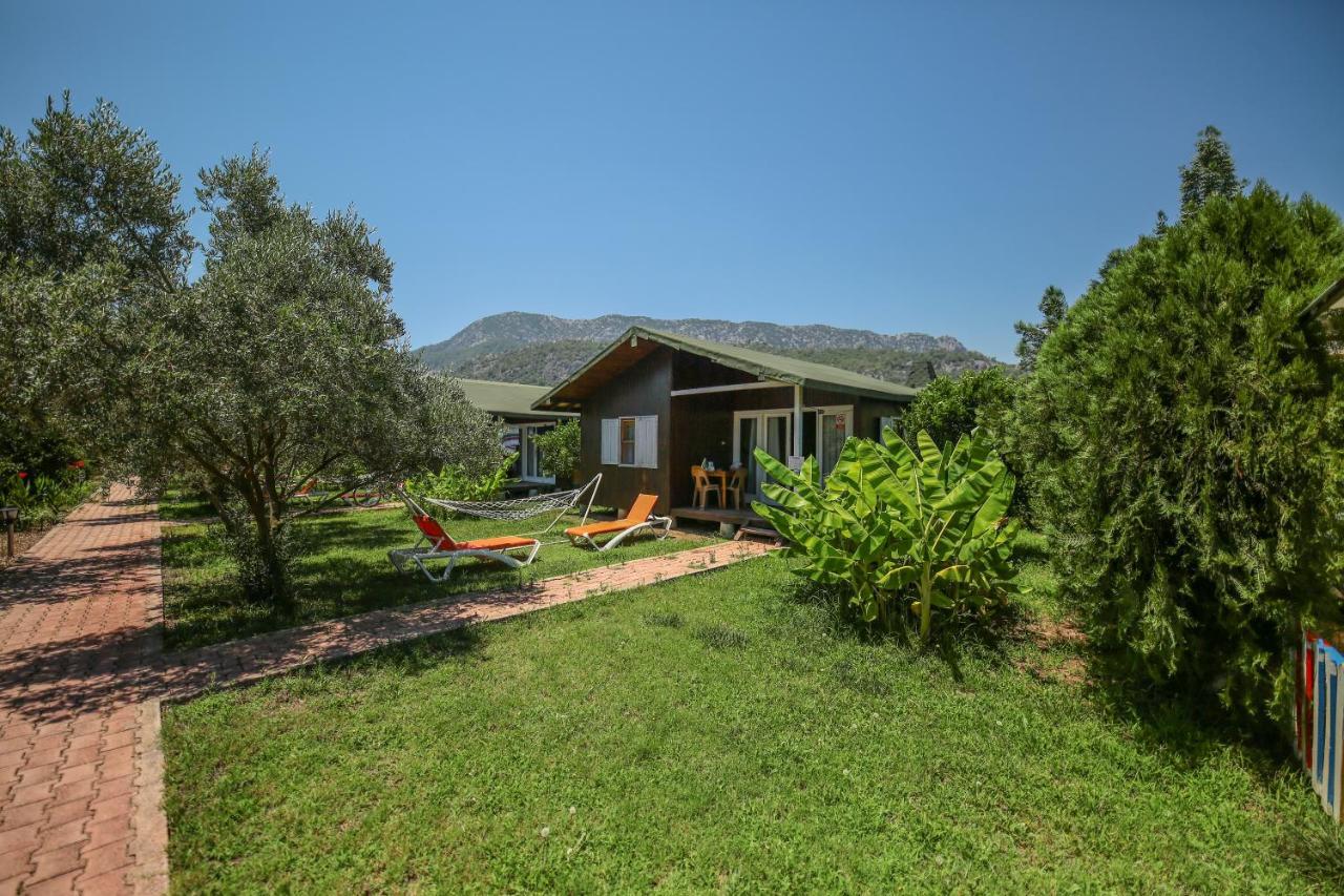 Cirali Zakkum Bungalow Dış mekan fotoğraf