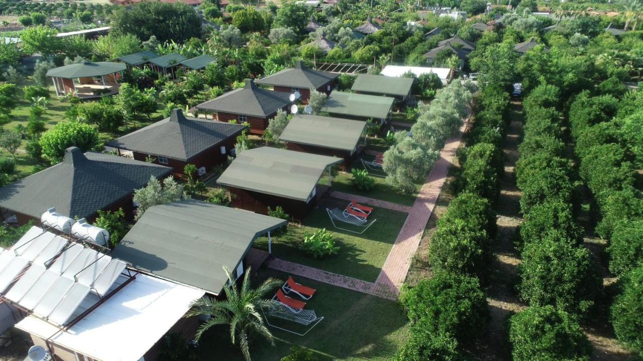 Cirali Zakkum Bungalow Dış mekan fotoğraf