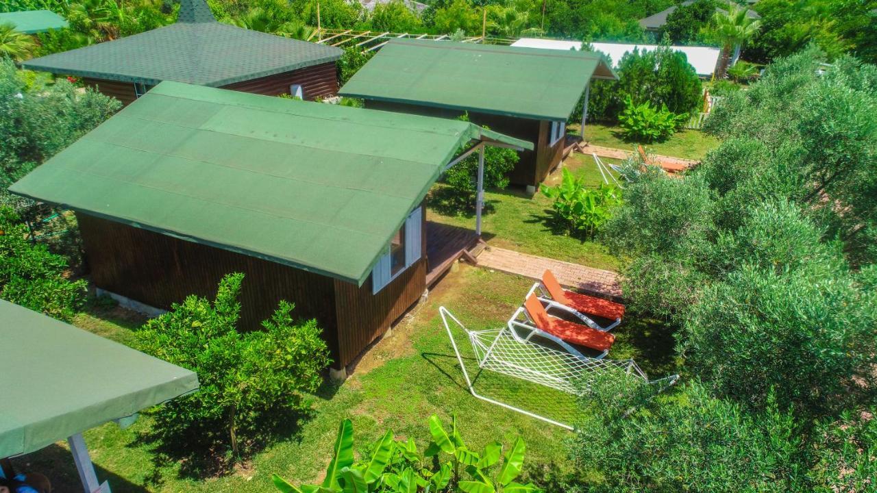 Cirali Zakkum Bungalow Dış mekan fotoğraf