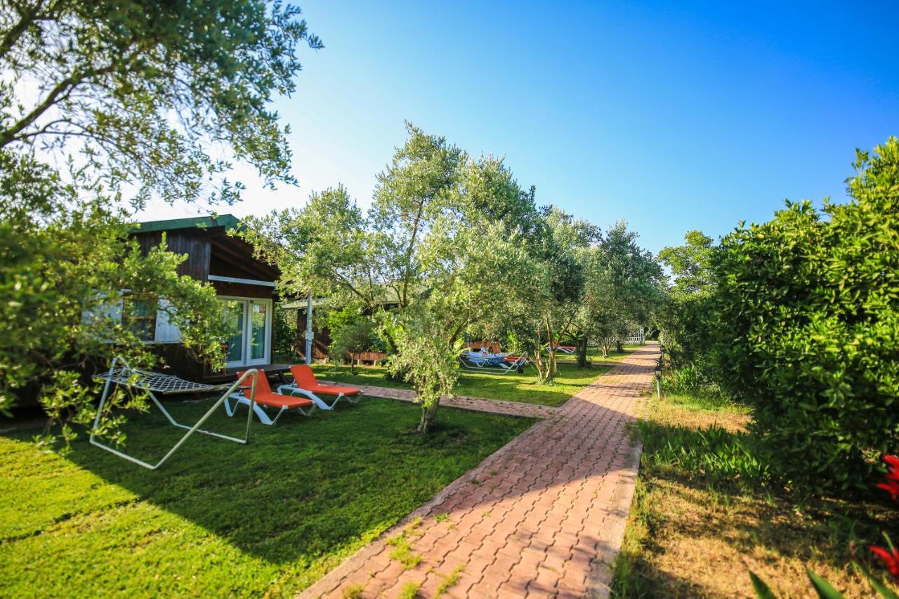 Cirali Zakkum Bungalow Dış mekan fotoğraf