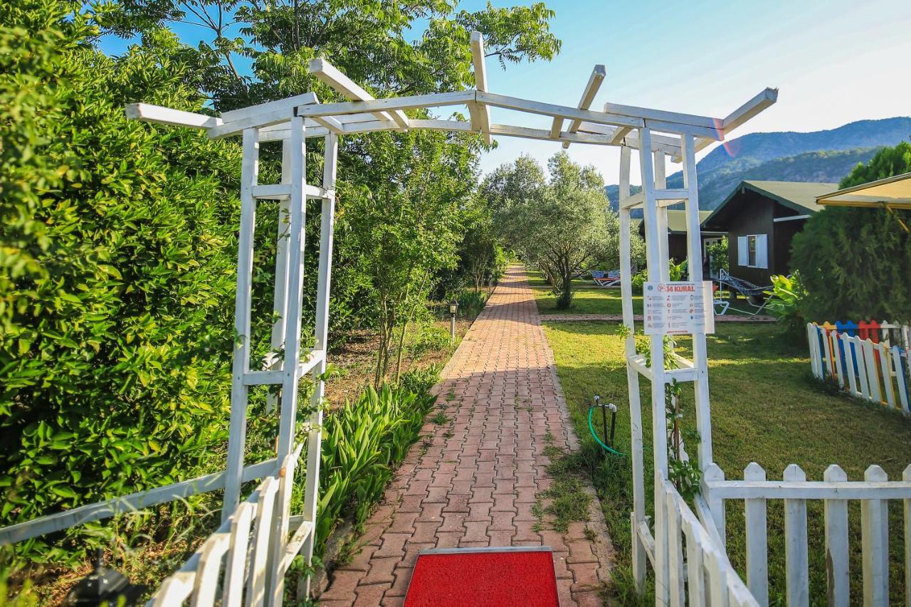 Cirali Zakkum Bungalow Dış mekan fotoğraf