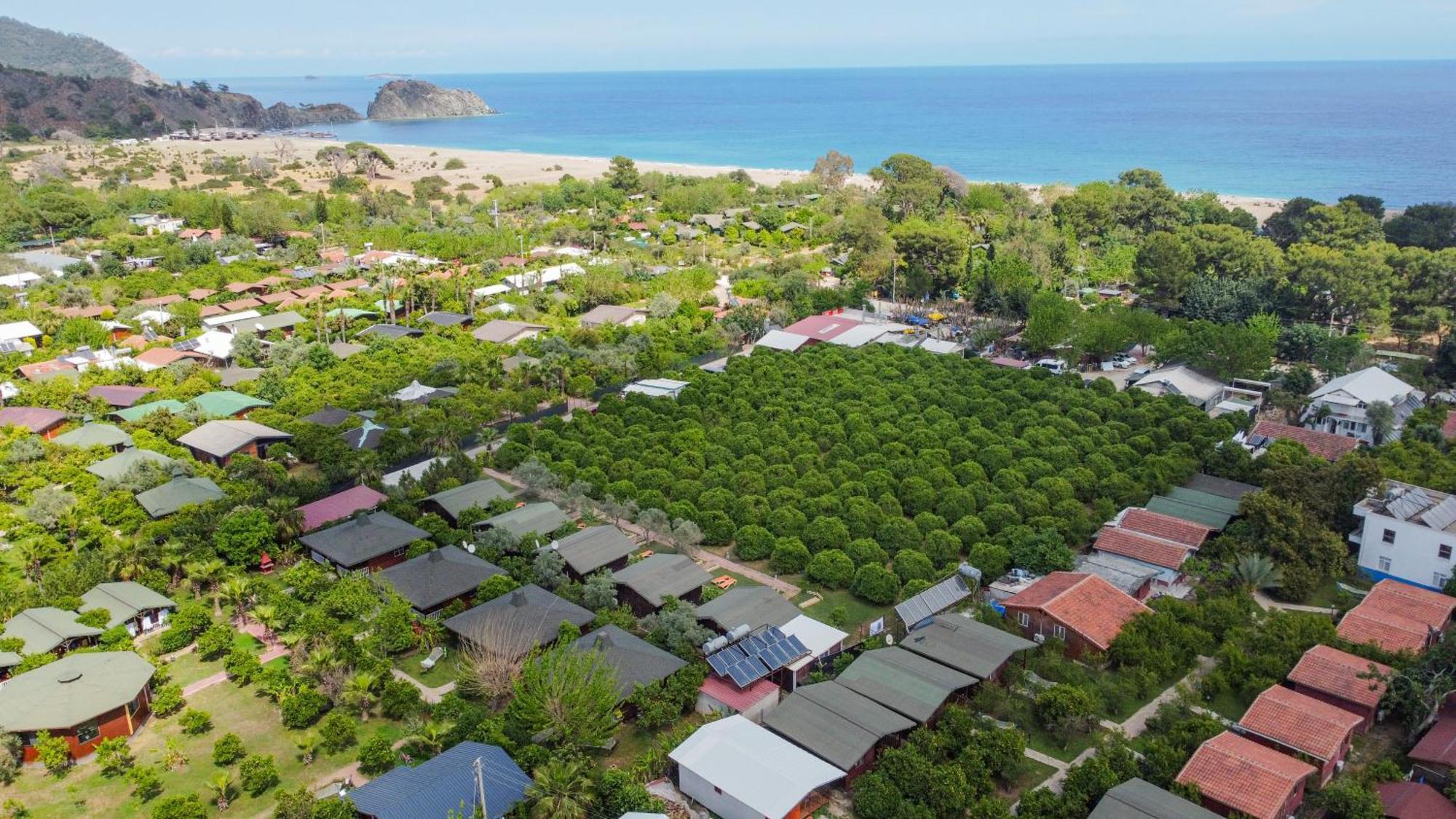Cirali Zakkum Bungalow Dış mekan fotoğraf